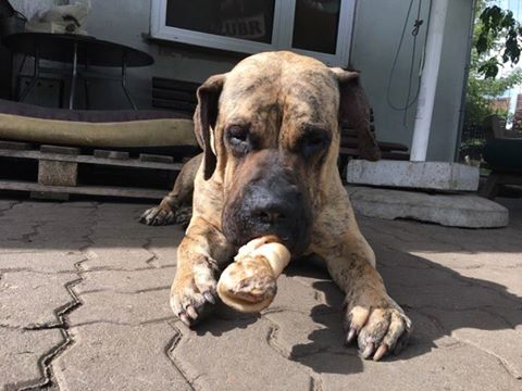 Niestety nie wszystko idzie jak by się chciało w życiu i tym razem taki scenariusz los napisał.